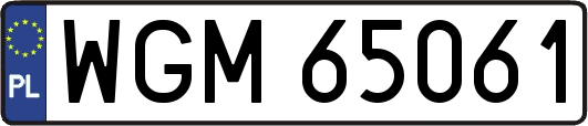 WGM65061