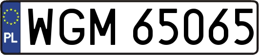 WGM65065