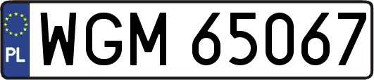 WGM65067