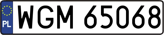WGM65068