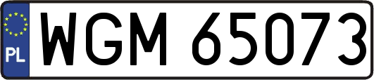 WGM65073