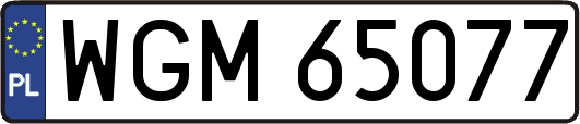 WGM65077