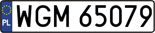 WGM65079