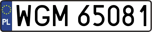 WGM65081