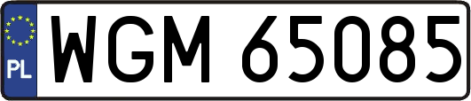 WGM65085