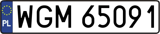 WGM65091