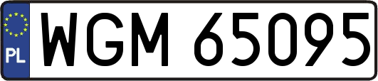 WGM65095