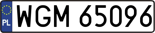 WGM65096