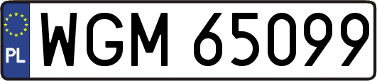 WGM65099