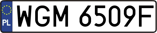 WGM6509F