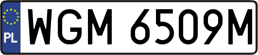 WGM6509M