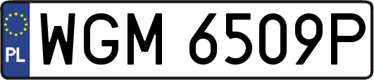 WGM6509P