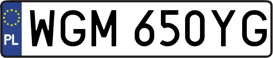 WGM650YG