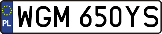 WGM650YS