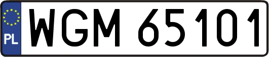 WGM65101