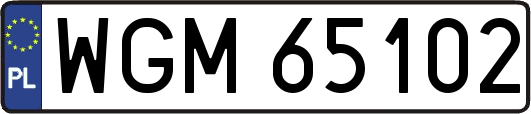 WGM65102
