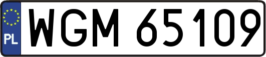 WGM65109