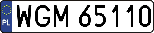 WGM65110