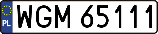 WGM65111