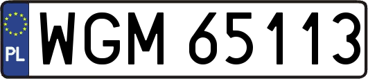 WGM65113