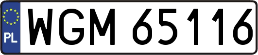 WGM65116