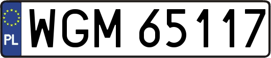 WGM65117