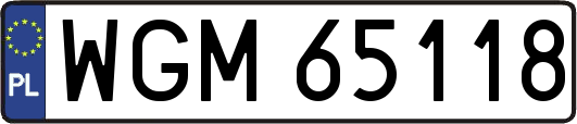 WGM65118