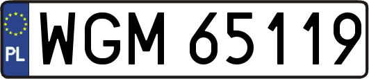 WGM65119