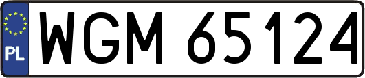 WGM65124