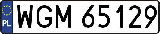 WGM65129