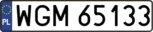 WGM65133