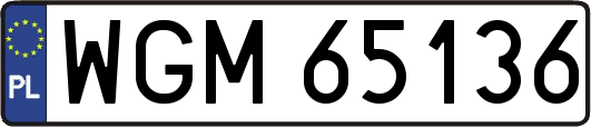 WGM65136