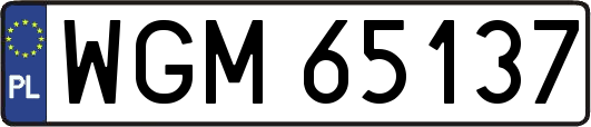 WGM65137