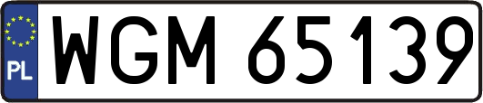 WGM65139