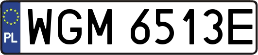 WGM6513E