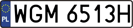 WGM6513H