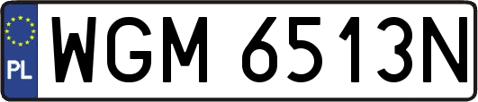 WGM6513N