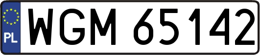 WGM65142