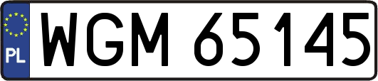 WGM65145