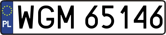 WGM65146