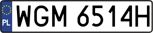 WGM6514H