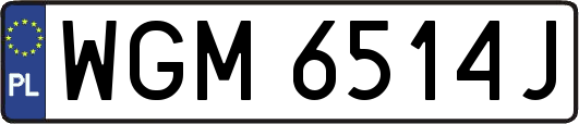 WGM6514J