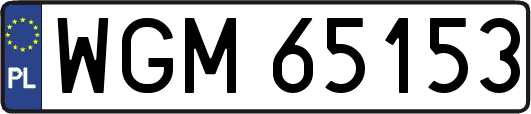 WGM65153