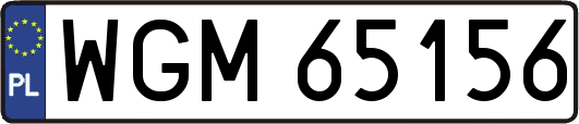 WGM65156