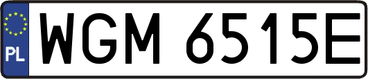 WGM6515E