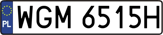 WGM6515H