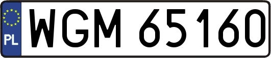 WGM65160