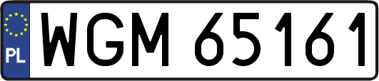 WGM65161