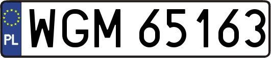 WGM65163