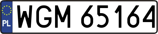 WGM65164